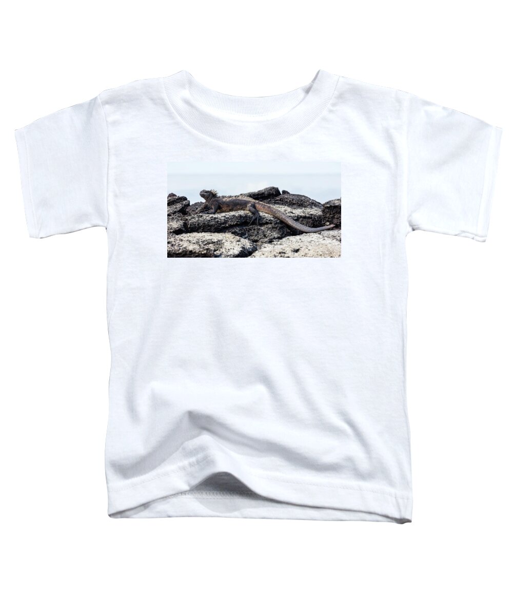 Iguana Toddler T-Shirt featuring the photograph Iguana by Jackie Russo
