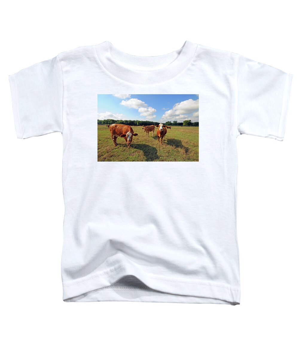 Inquisitive Toddler T-Shirt featuring the photograph Inquisitive Cattle by Ted Keller