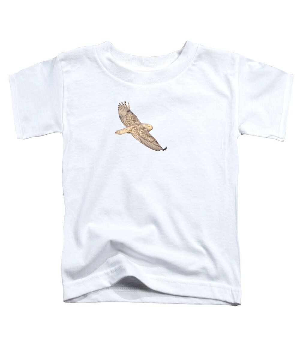 Snowy Owl (bubo Scandiacus) Toddler T-Shirt featuring the photograph Isolated Snowy Owl 2018-1 by Thomas Young