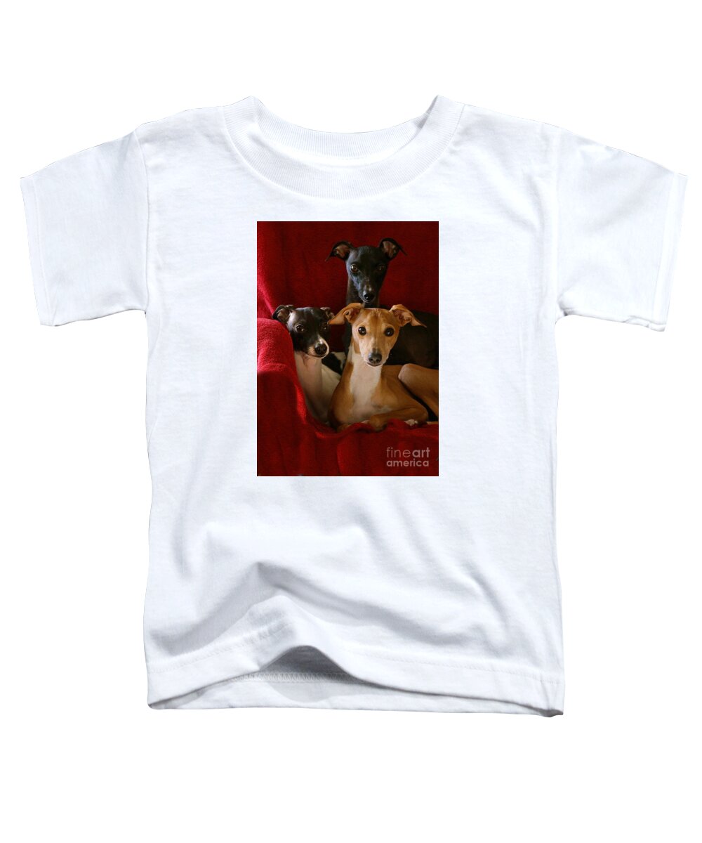 Black And White Toddler T-Shirt featuring the photograph Italian Greyhound Brothers by Angela Rath