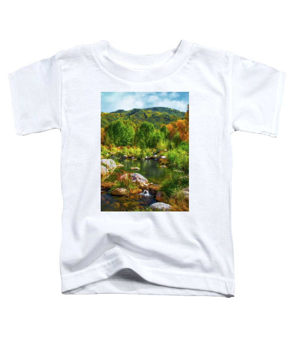Colorado Toddler T-Shirt featuring the photograph John Denver Sanctuary by John Strong