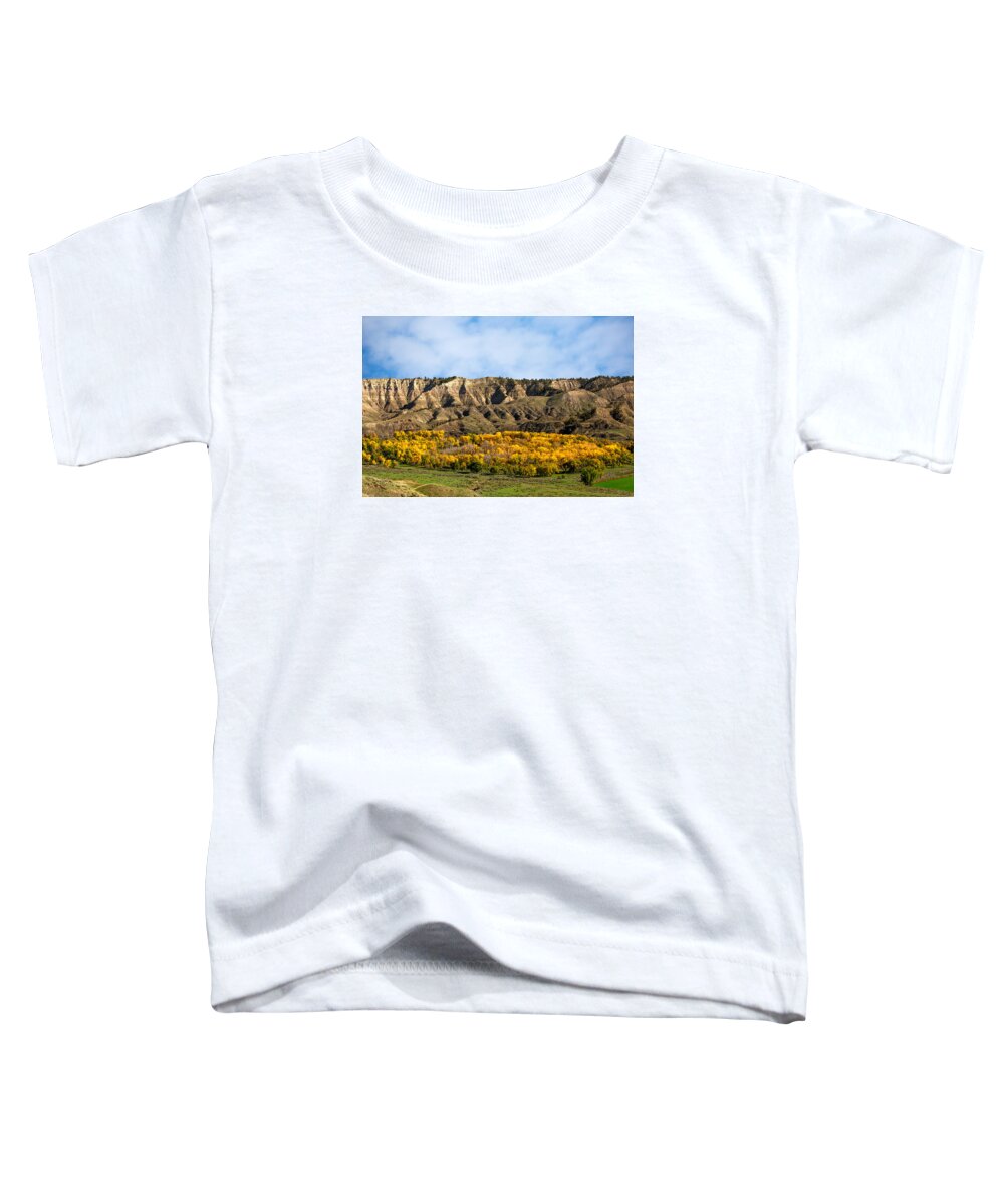 Autumn Toddler T-Shirt featuring the photograph Judith River Autumn by Todd Klassy