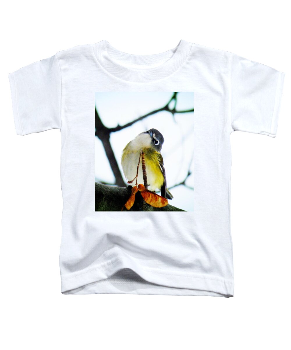 Blue-headed Vireo Toddler T-Shirt featuring the photograph Just Curious by Zinvolle Art