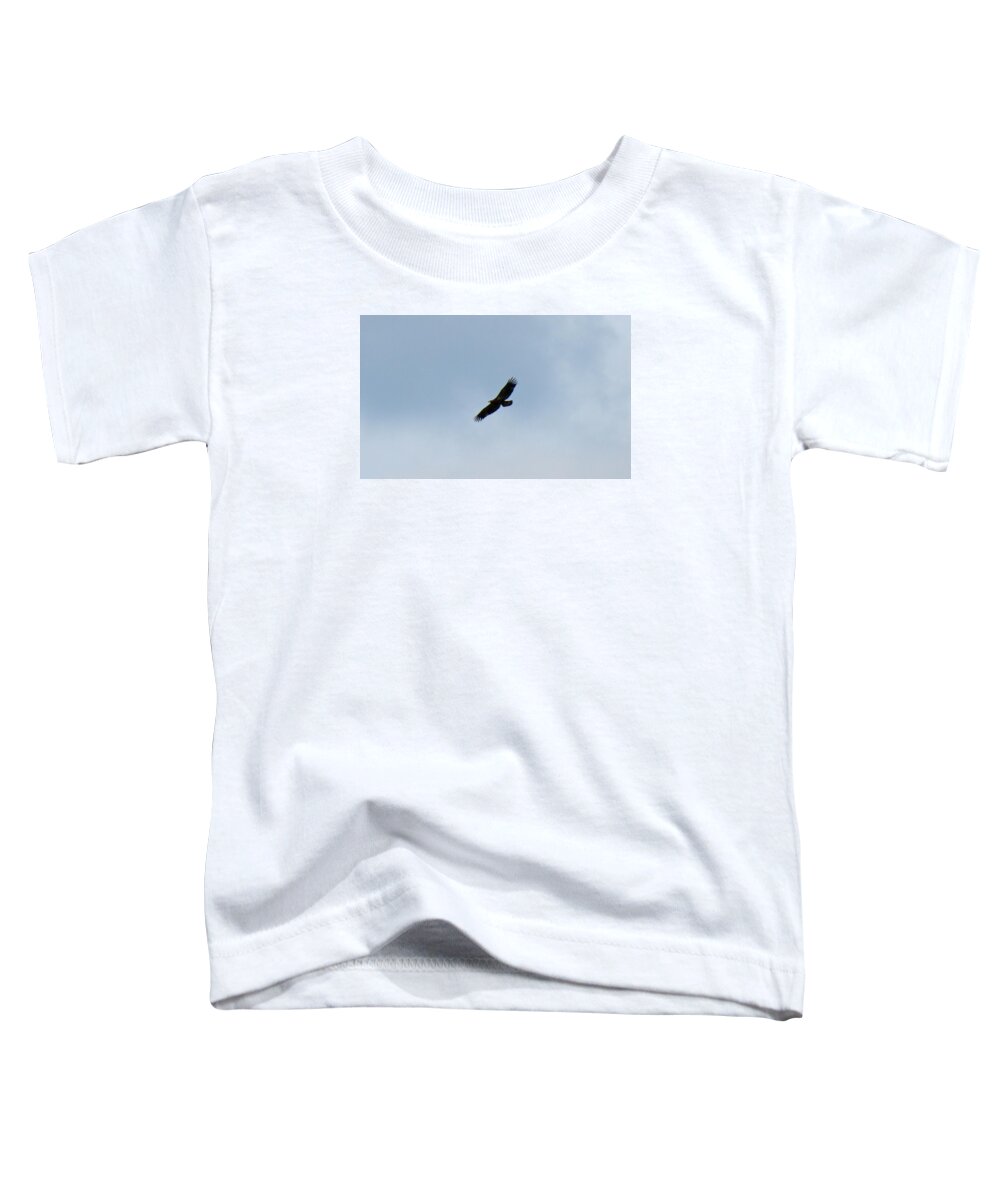 Eagle Toddler T-Shirt featuring the photograph Juvenile Bald Eagle by Azthet Photography