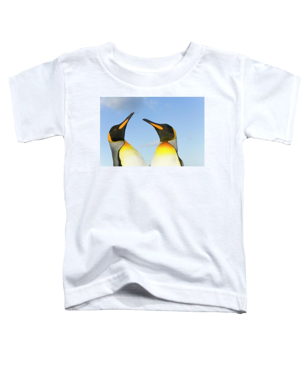 00345350 Toddler T-Shirt featuring the photograph King Penguins Interacting by Yva Momatiuk John Eastcott