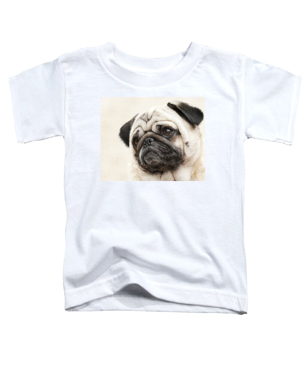 Lola Toddler T-Shirt featuring the photograph L-O-L-A Lola the Pug by Kathy Clark