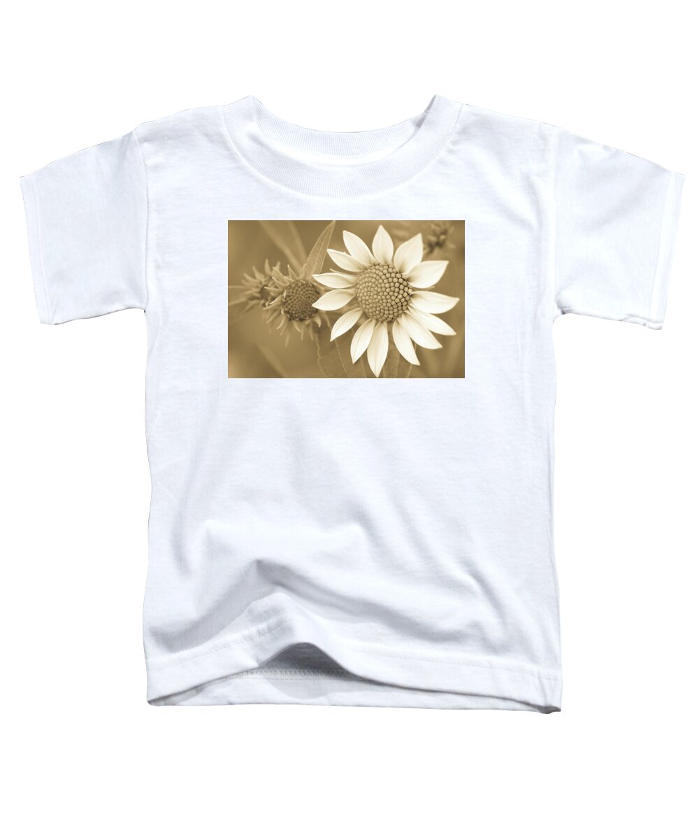 Beautiful Toddler T-Shirt featuring the photograph Late Summer Wildflower in Sepia by Joni Eskridge