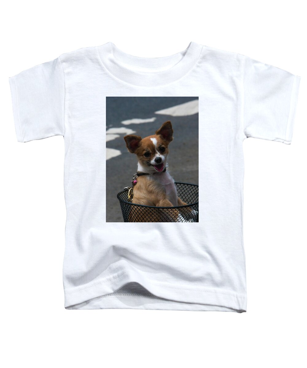 Dog Toddler T-Shirt featuring the photograph Lets go for a ride by Jason Hughes