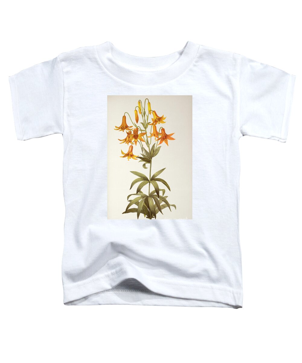 Plant Toddler T-Shirt featuring the painting Lilium Penduliflorum by Pierre Joseph Redoute