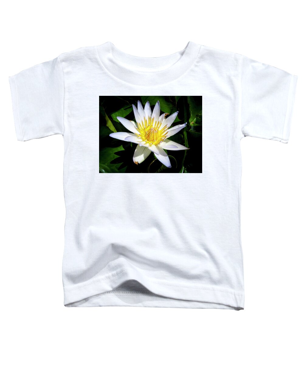 Flowers Toddler T-Shirt featuring the photograph Lily by Daniel Murphy