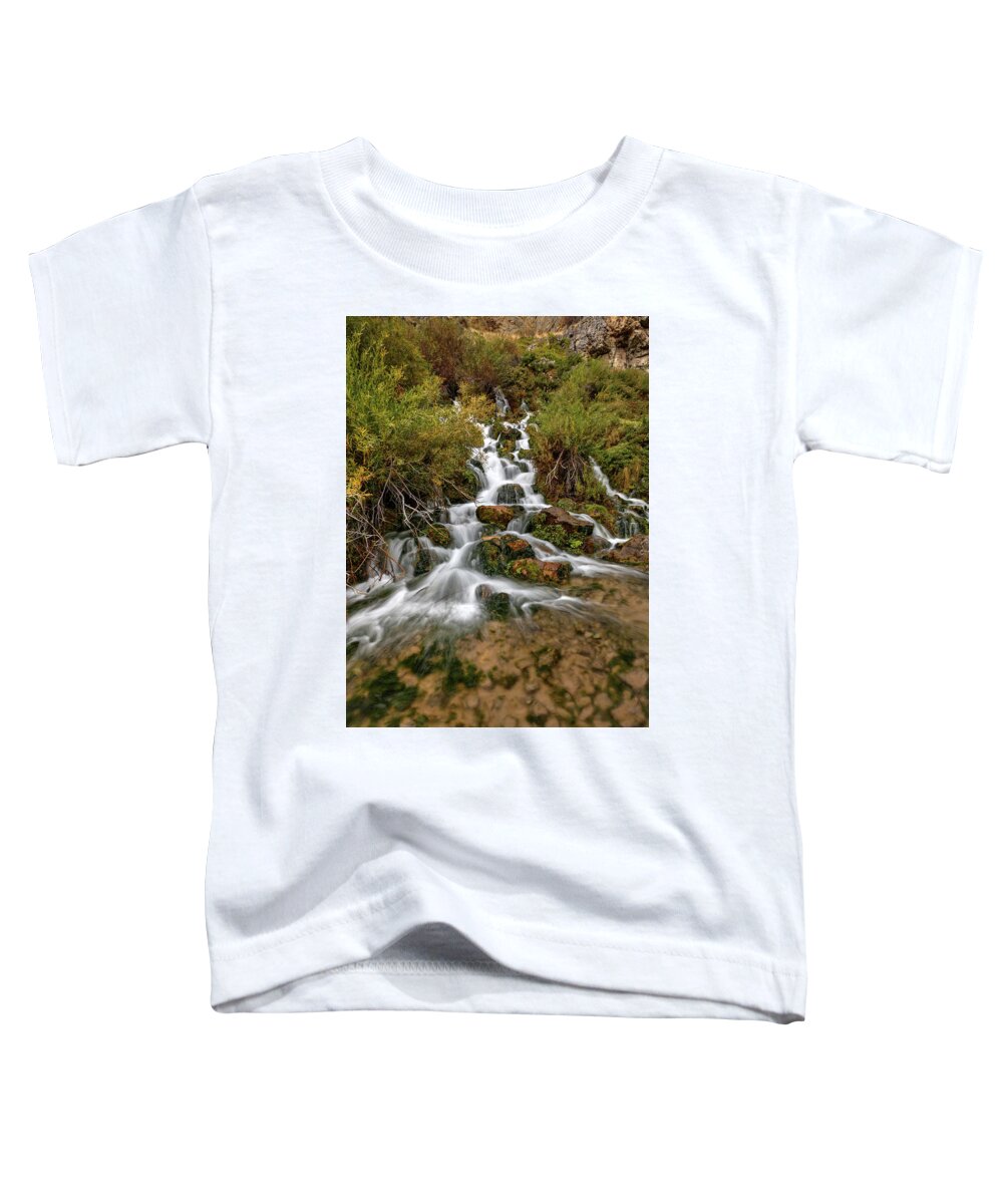 Blacksmith Fork Toddler T-Shirt featuring the photograph Lime Spring by David Andersen