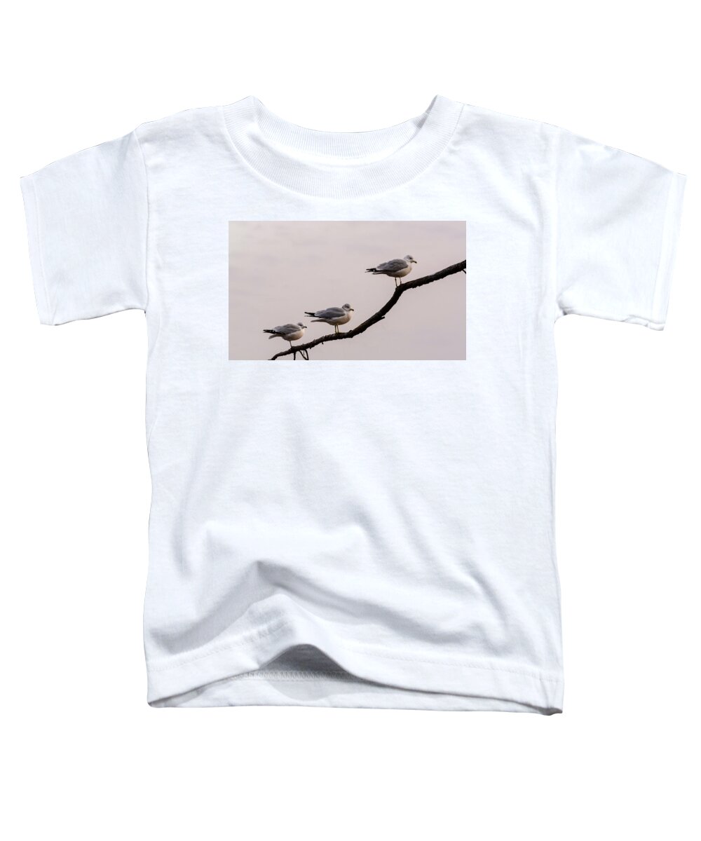 Nature Toddler T-Shirt featuring the photograph Line-up by Robert Mitchell