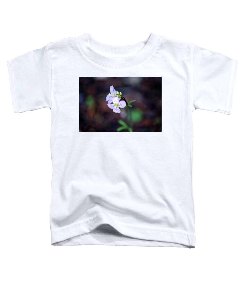 Flowers Toddler T-Shirt featuring the photograph Looking for Light by Ben Upham III