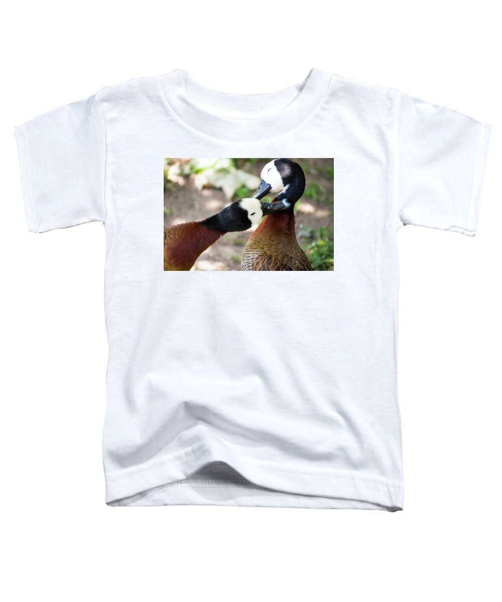 Ducks Toddler T-Shirt featuring the photograph Love Ducks by Steph Gabler