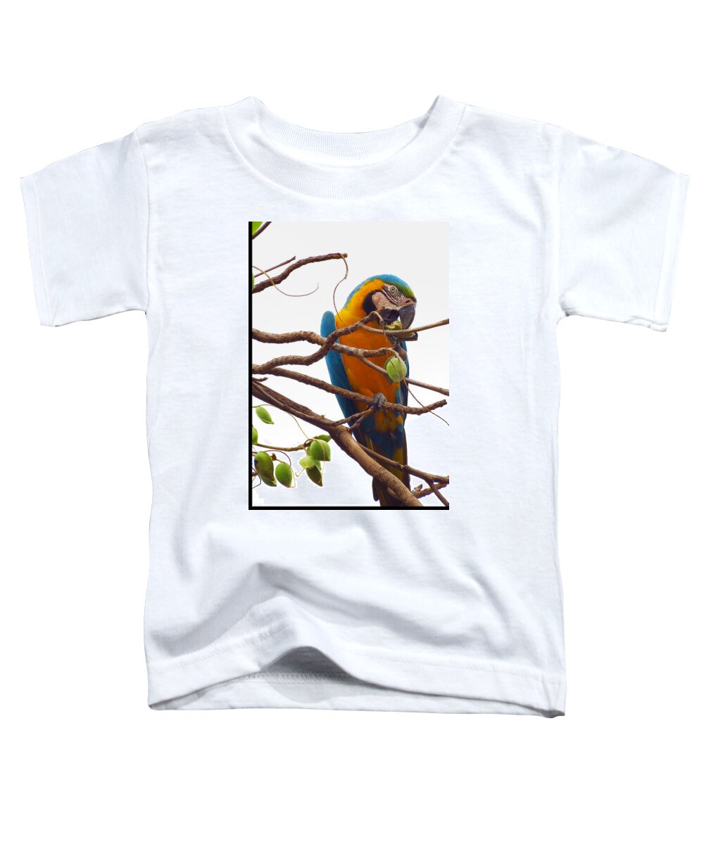 Macaw Toddler T-Shirt featuring the photograph Macaw by Metaphor Photo