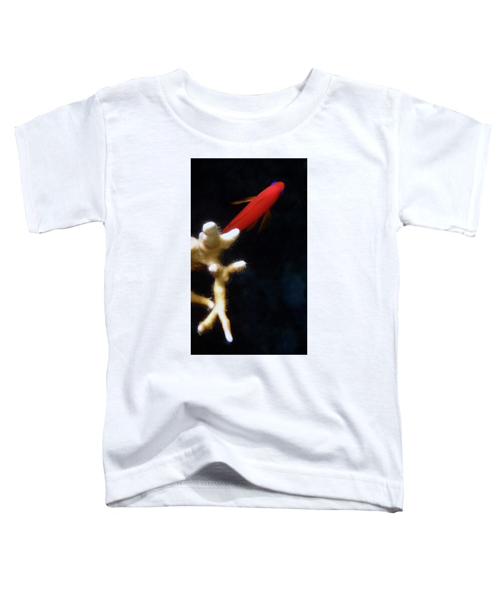 Sea Toddler T-Shirt featuring the photograph Macro Photo Underwater Of Anthias and Coral by Johanna Hurmerinta