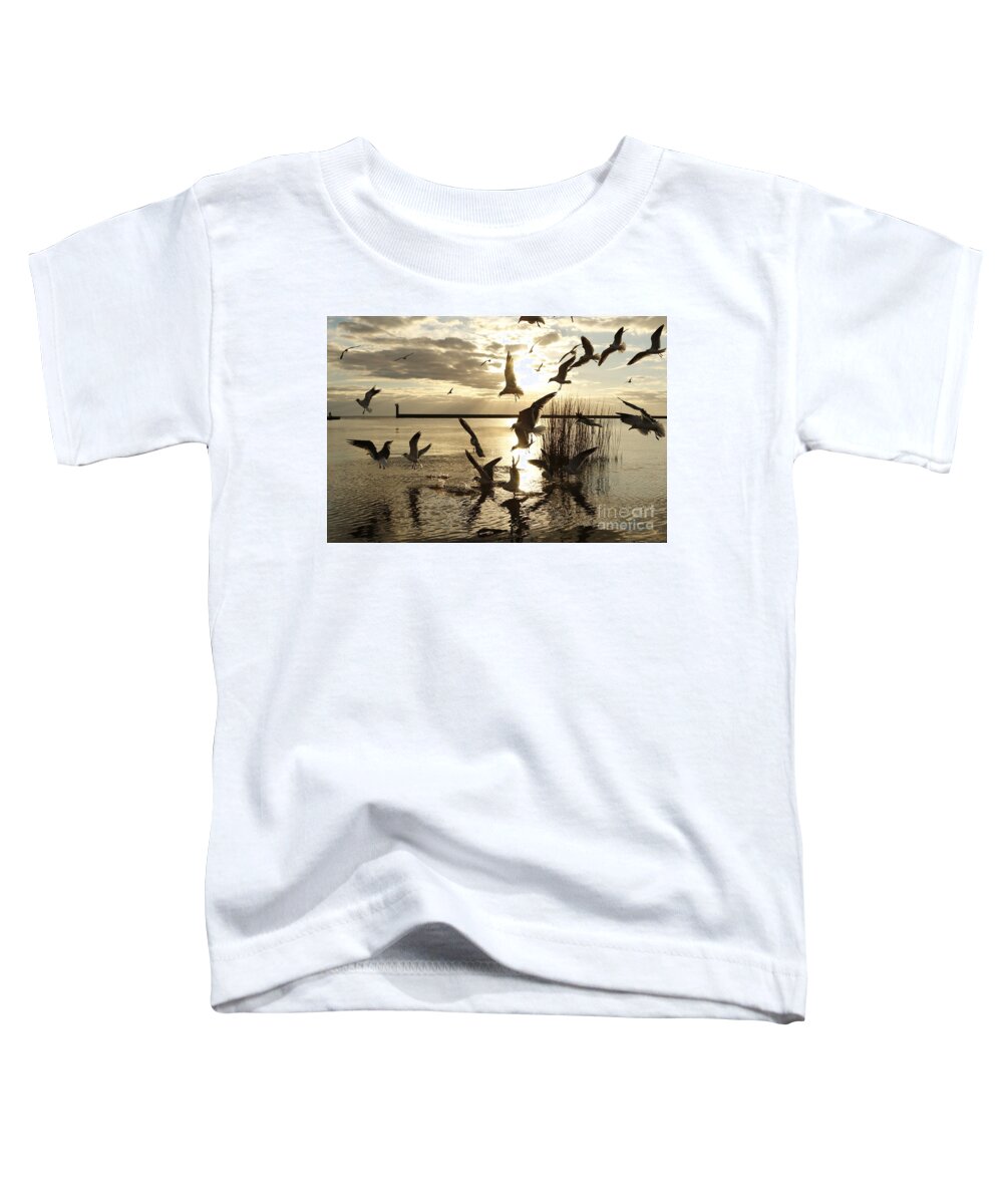 Mandeville Louisiana Toddler T-Shirt featuring the photograph Mandeville Lakefront Seagulls by Luana K Perez