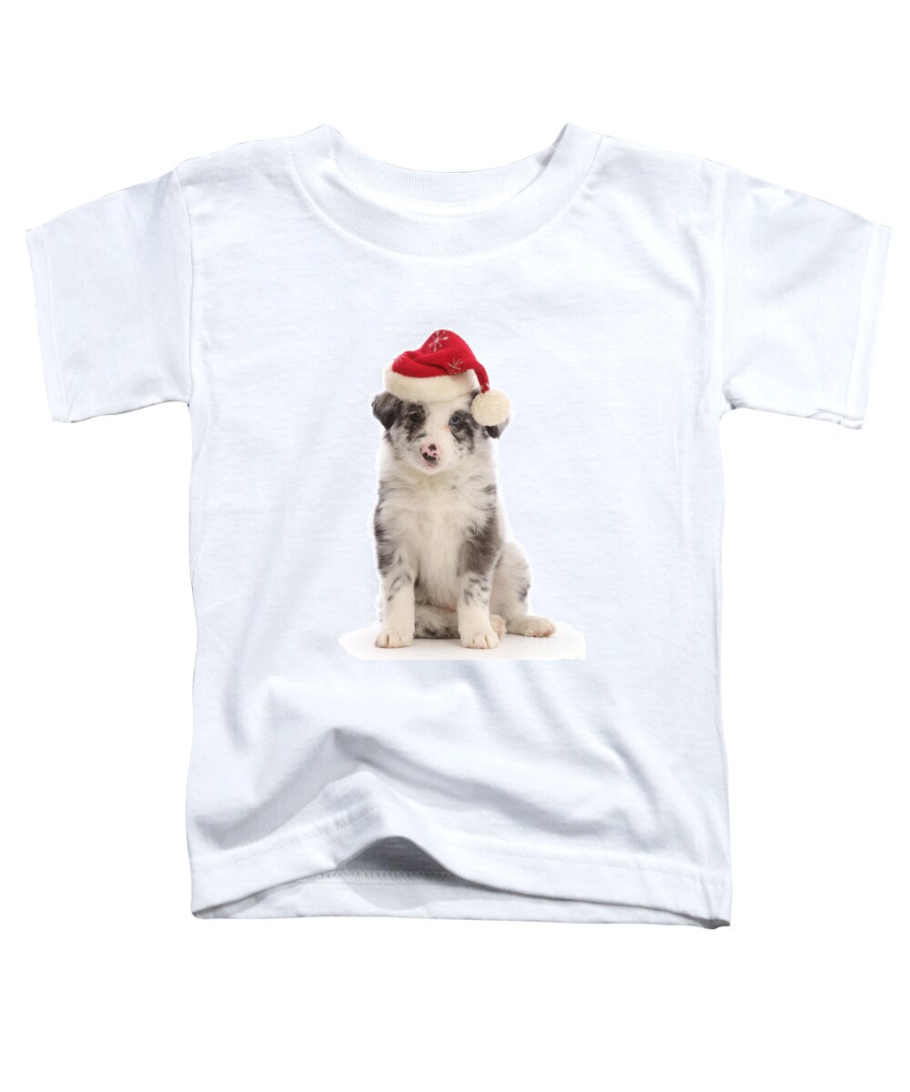 Border Collie Toddler T-Shirt featuring the photograph Merle Santa Pup by Warren Photographic