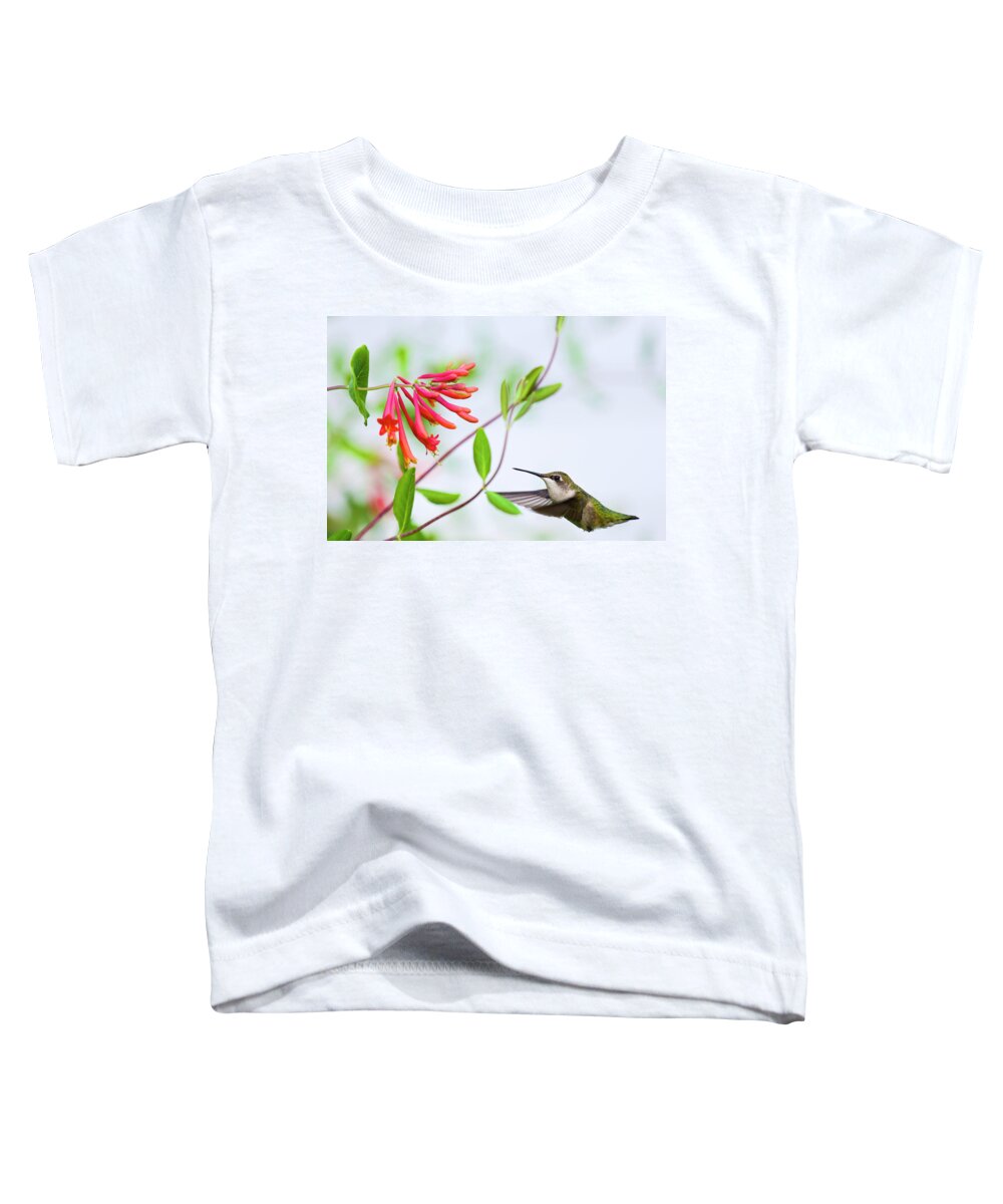Hummingbird Toddler T-Shirt featuring the photograph Mid-Air by Kristin Hatt