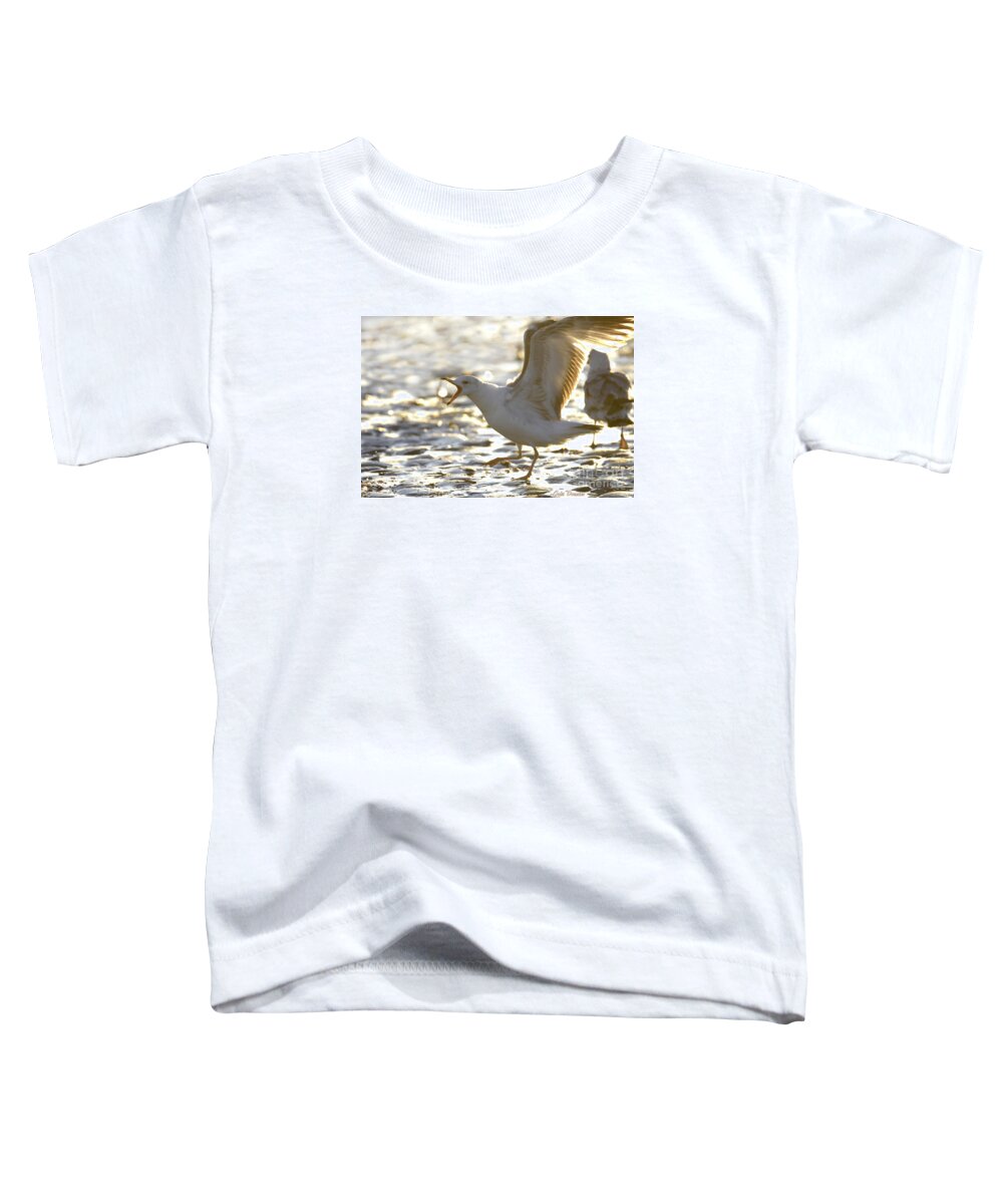 Seagull Toddler T-Shirt featuring the photograph Mine, not yours by Judi Dressler