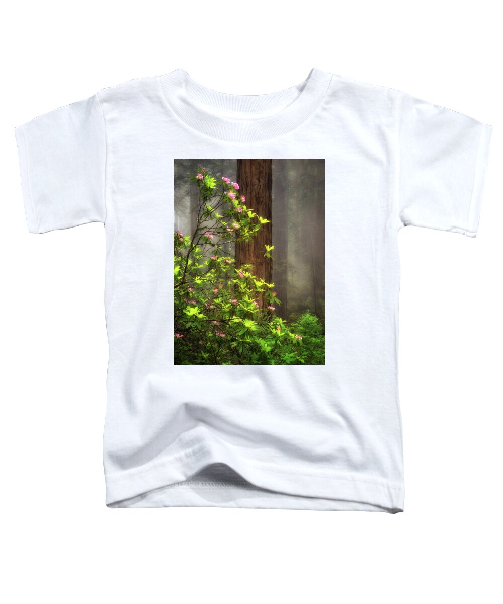 California Toddler T-Shirt featuring the photograph Moody Forest by Nicki Frates