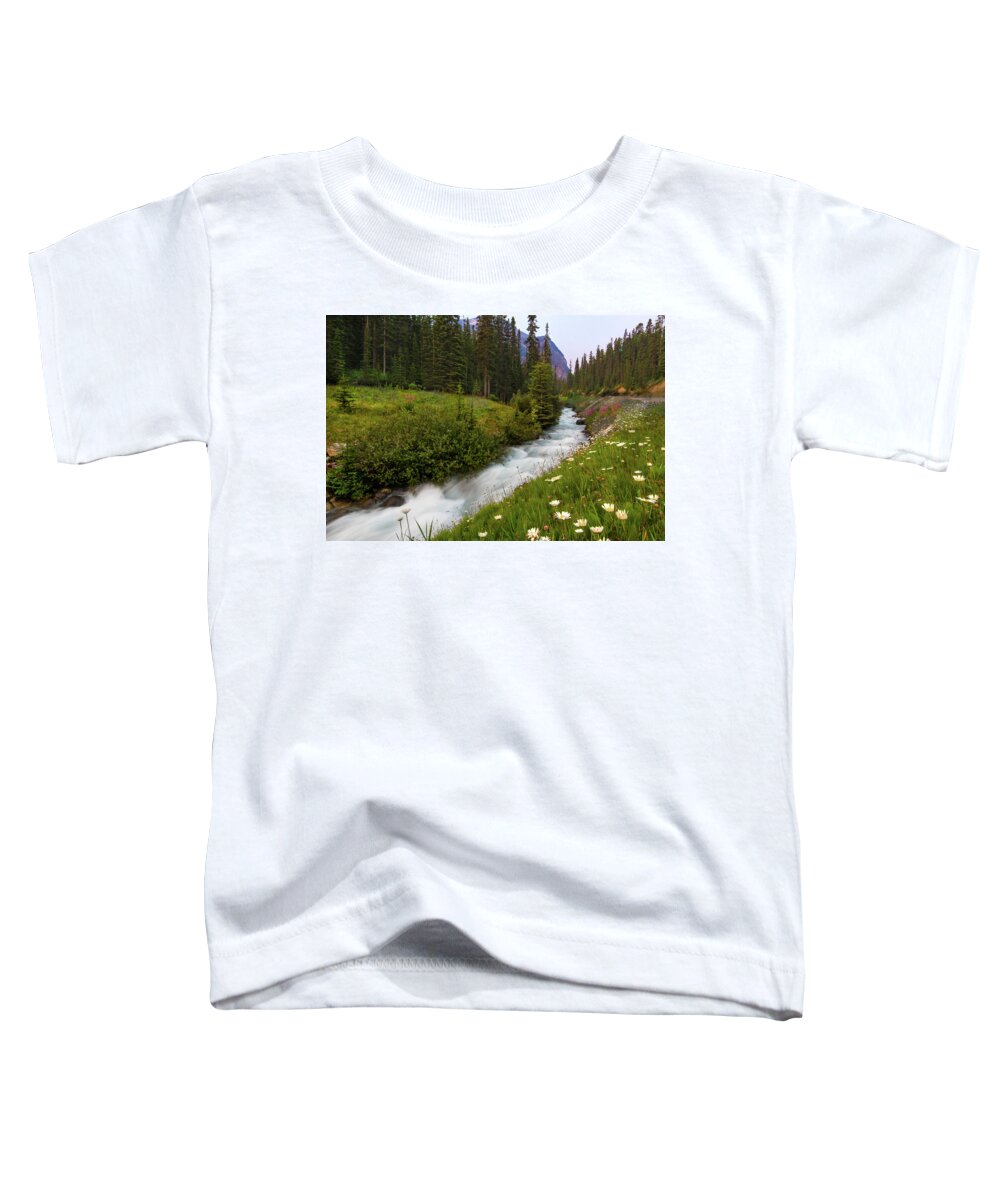 Moraine Lake Toddler T-Shirt featuring the photograph Moraine Stream Wildflower Display by Norma Brandsberg