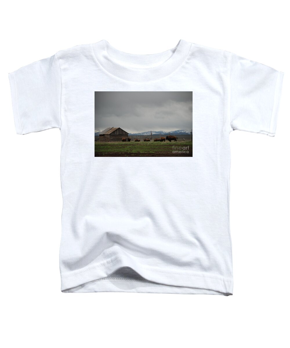 Buffalo Toddler T-Shirt featuring the photograph Mormon Row Buffalo by Jim Goodman