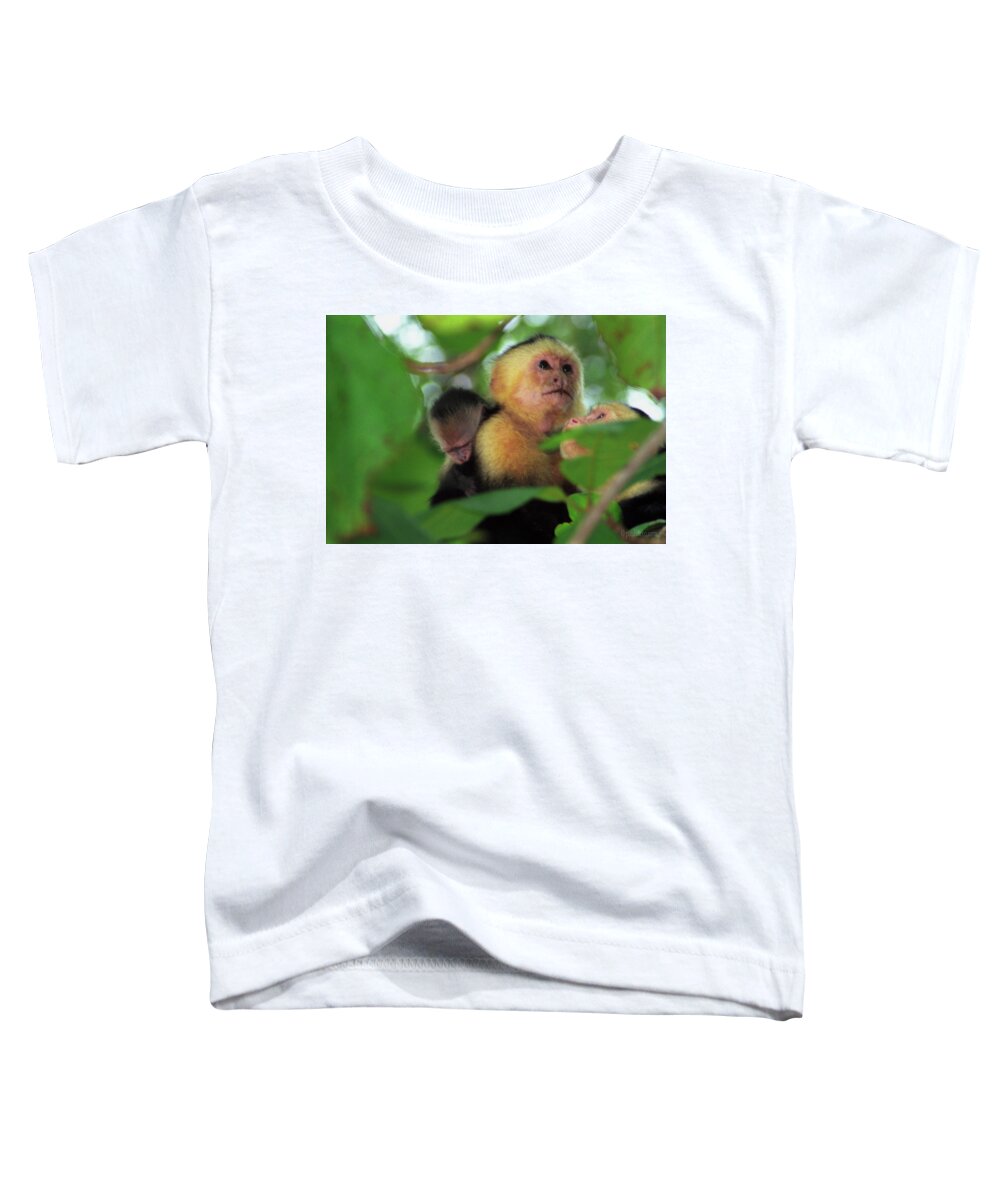  Toddler T-Shirt featuring the photograph Mother Love.... by Paul Vitko