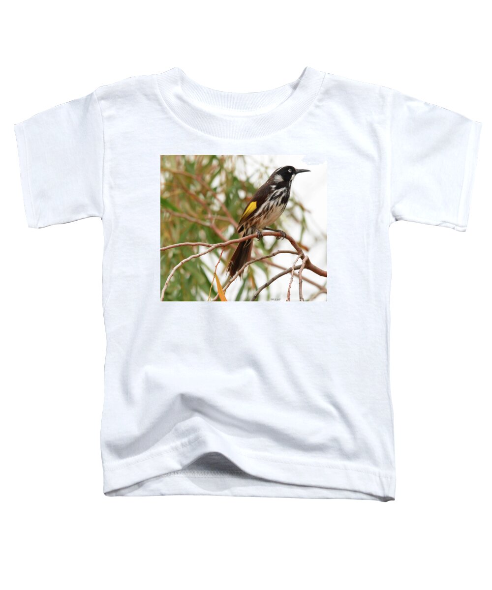 Honey-eater Toddler T-Shirt featuring the photograph New Holland Honey-eater by Peter Krause