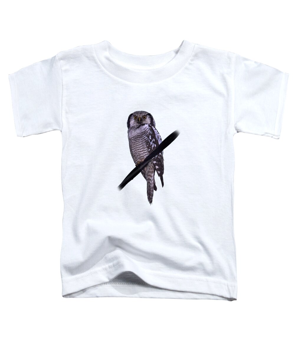 Lehtokukka Toddler T-Shirt featuring the photograph Northern hawk-owl transparent by Jouko Lehto