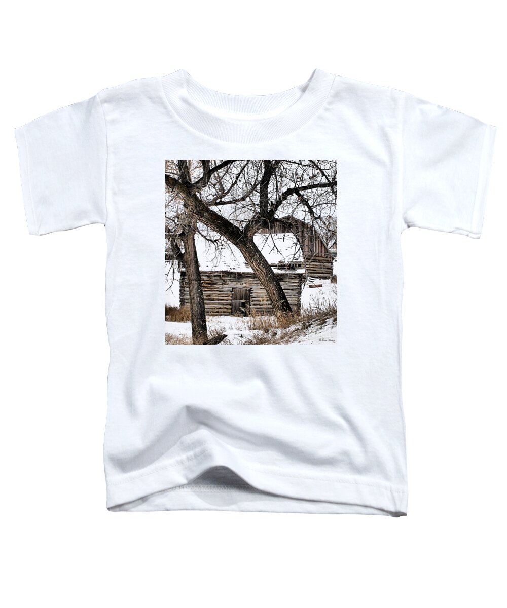 Old Barn Toddler T-Shirt featuring the photograph Old Ulm Barn by Susan Kinney