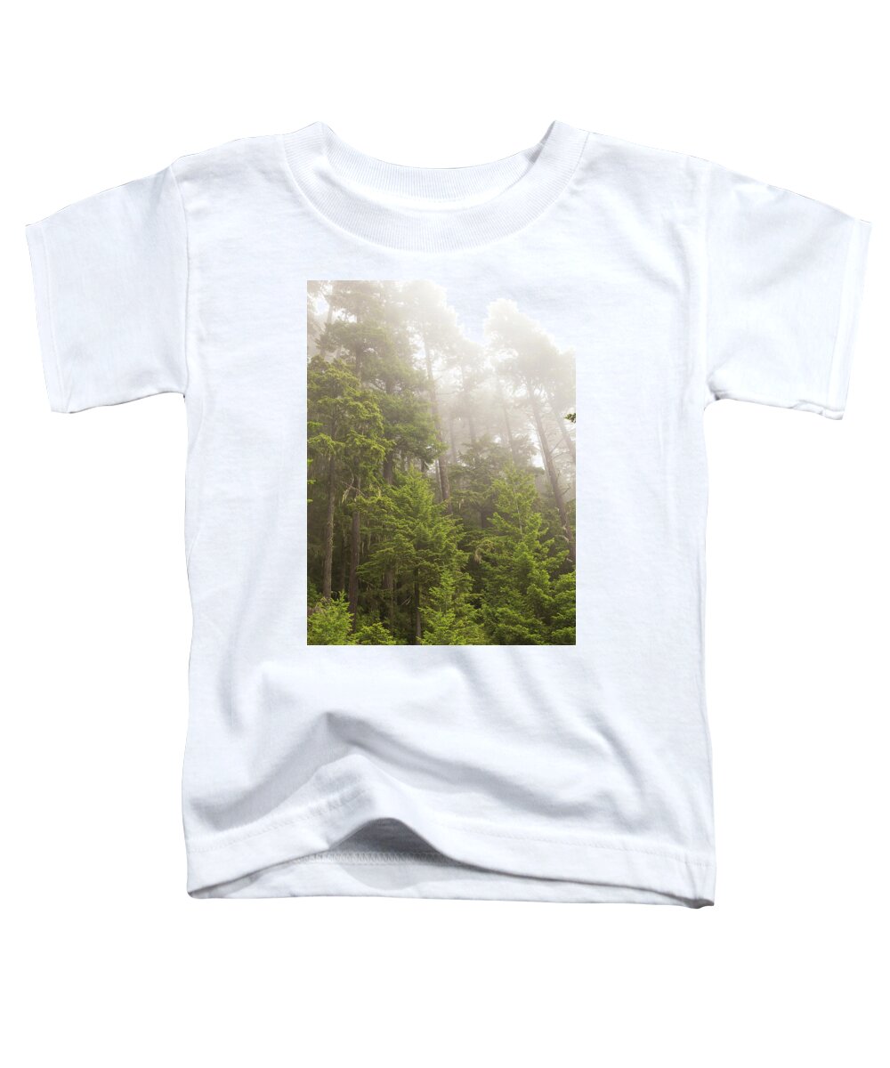 Olympic National Park Toddler T-Shirt featuring the photograph Olympic dreams by Kunal Mehra