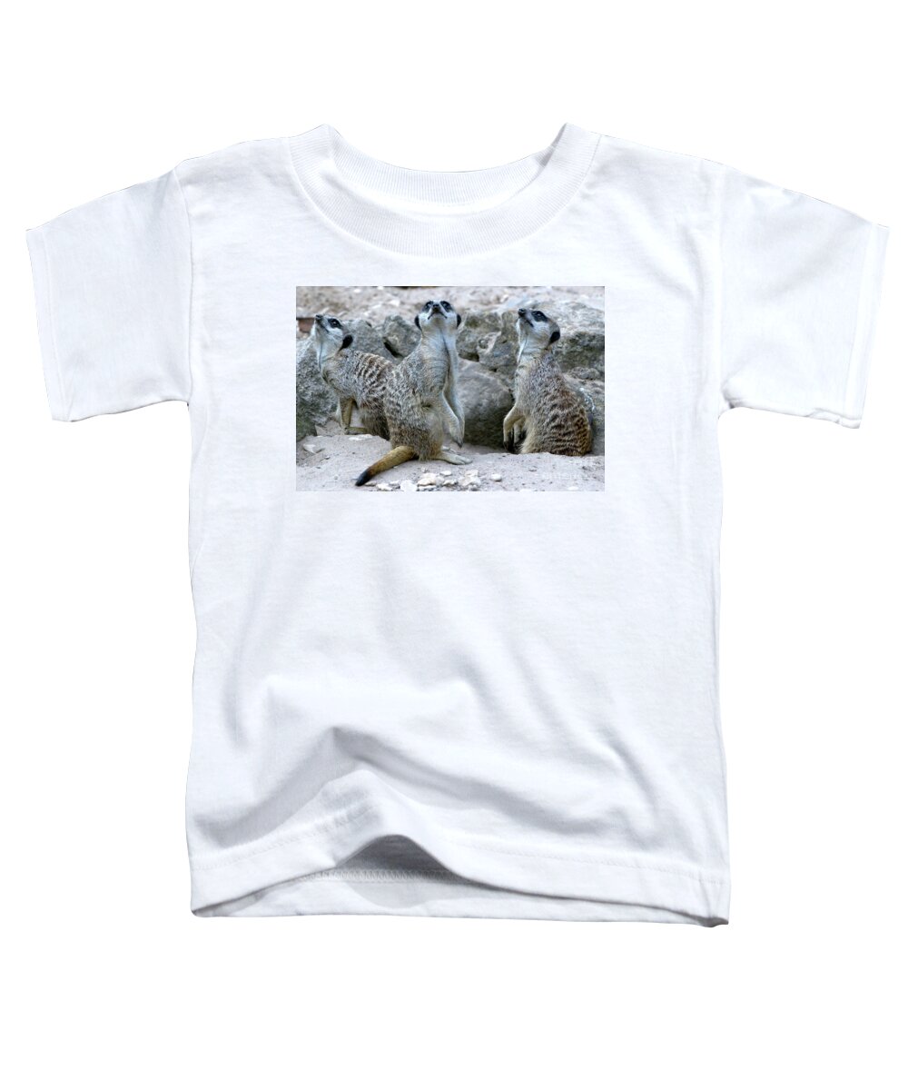 Animal Toddler T-Shirt featuring the photograph On Gaurd by Stephen Melia