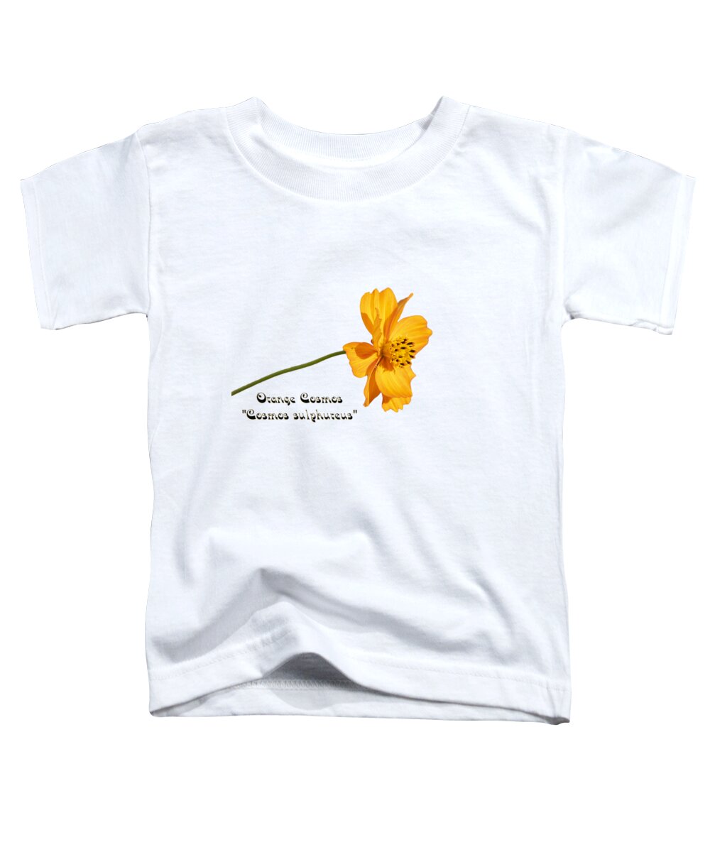 Orange Cosmos Flower Toddler T-Shirt featuring the photograph Orange Cosmos Isolated 2018-1 by Thomas Young