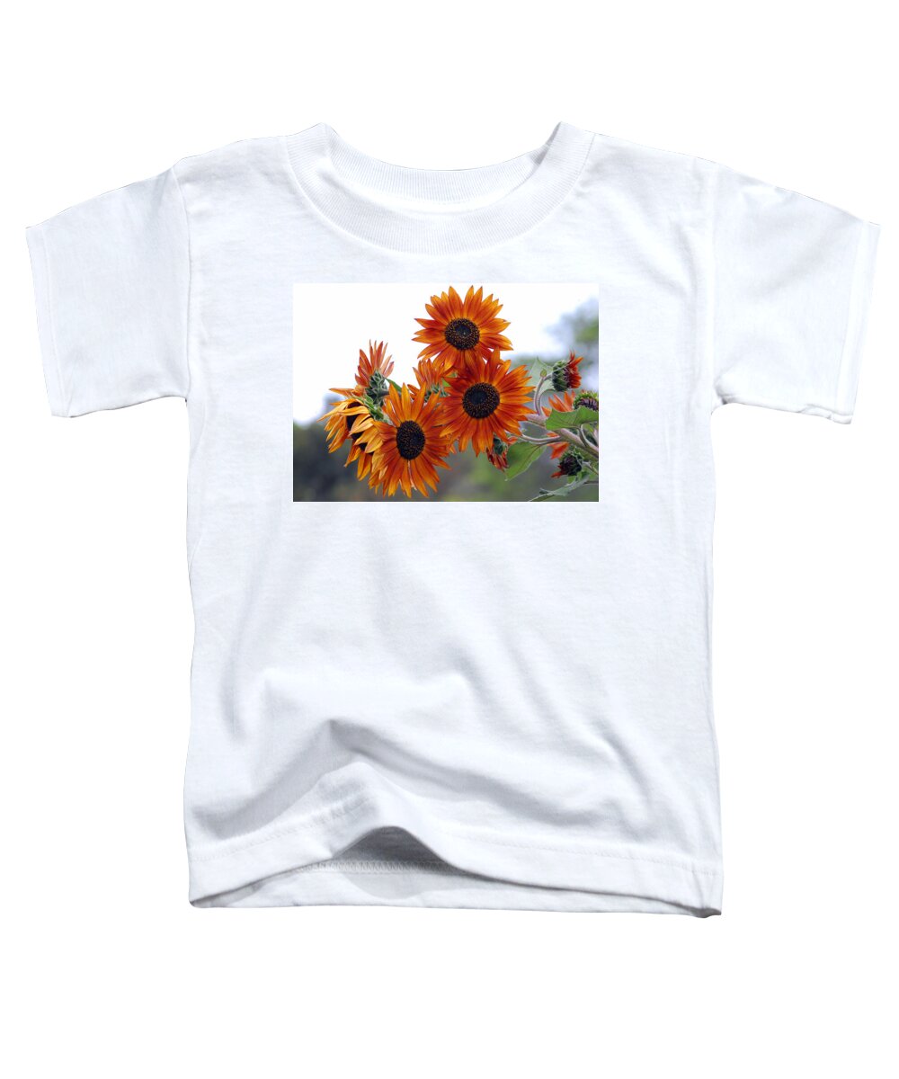 Sunflower Toddler T-Shirt featuring the photograph Orange Sunflower 1 by Amy Fose