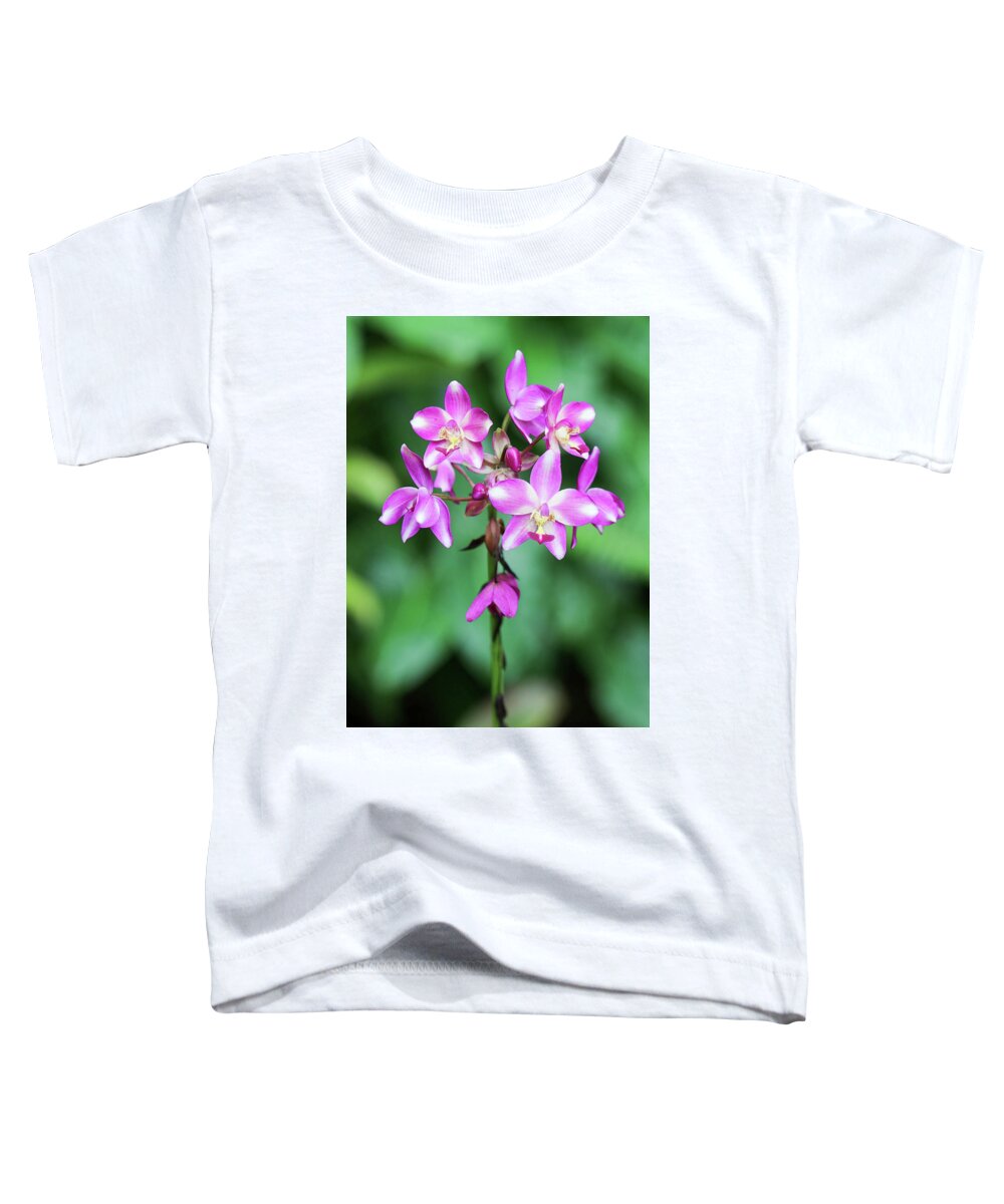 Orchid Toddler T-Shirt featuring the photograph Orchid in Pink and White by Mary Anne Delgado