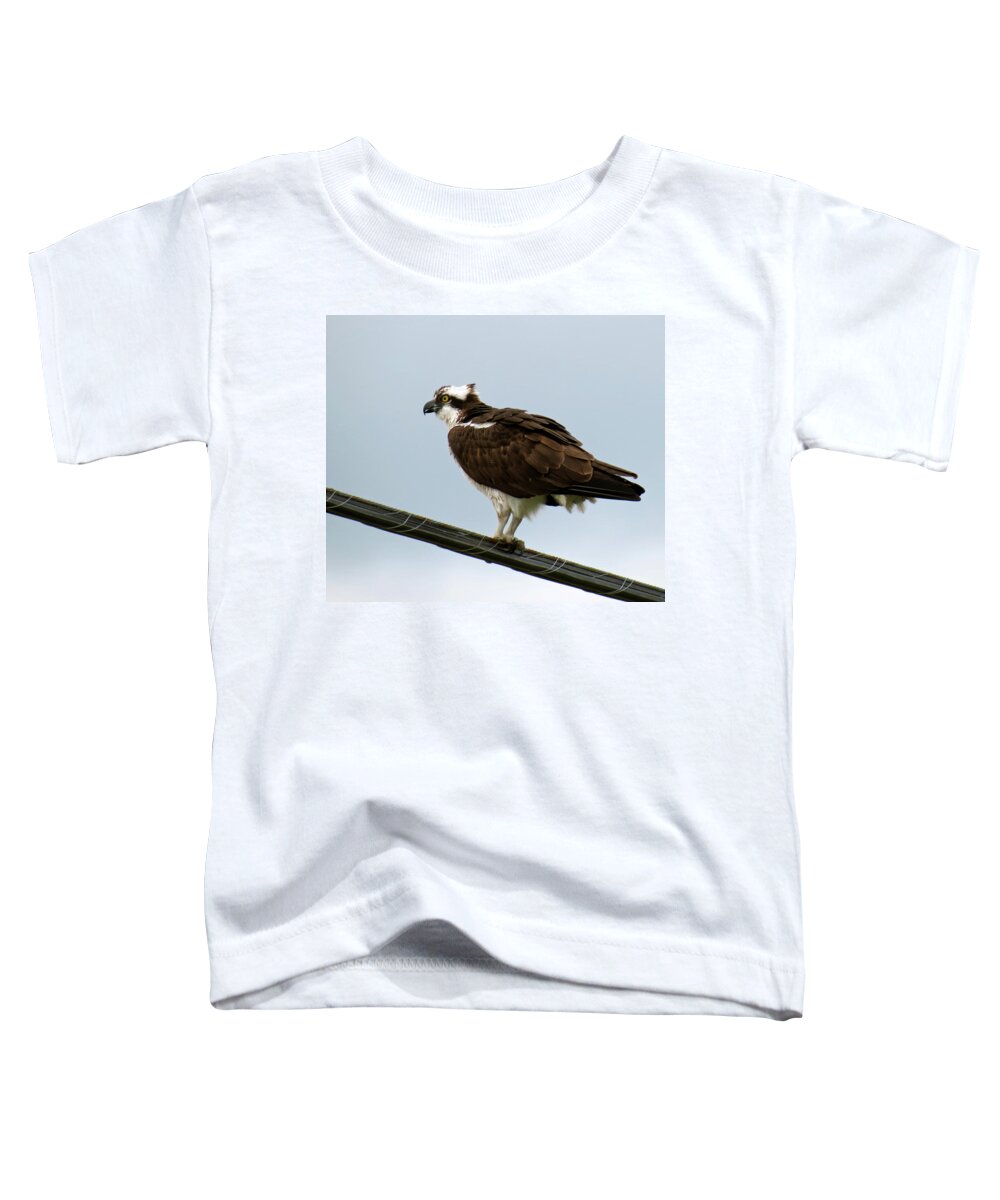 Bird Toddler T-Shirt featuring the photograph Osprey by Azthet Photography