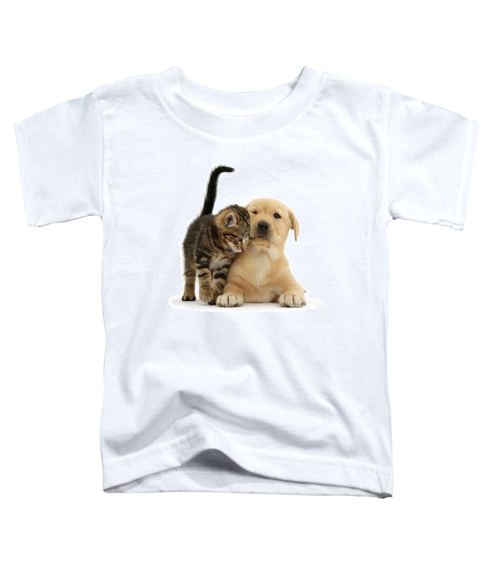 Yellow Labrador Toddler T-Shirt featuring the photograph Over Friendly Kitten by Warren Photographic