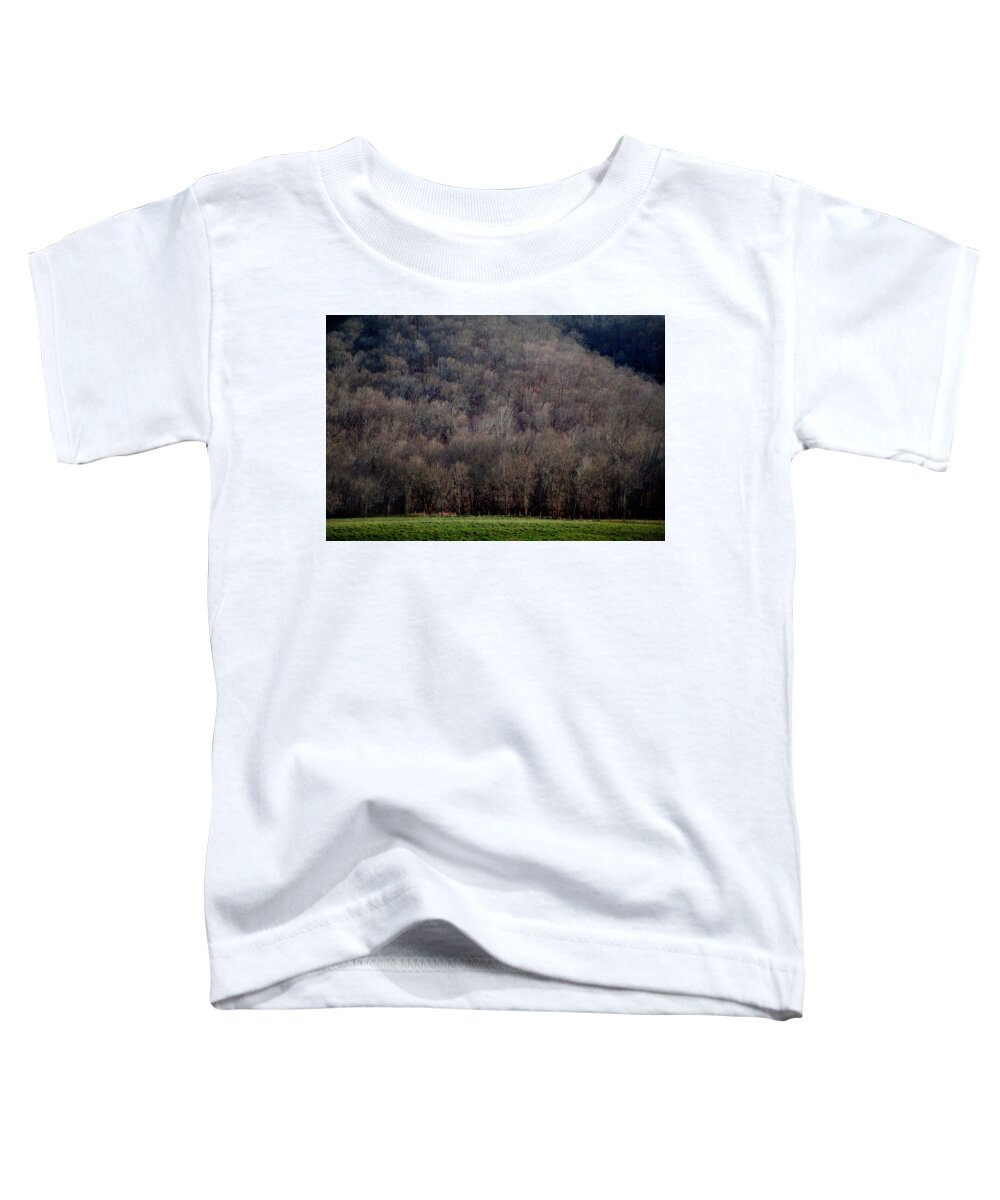 Tree Line Toddler T-Shirt featuring the photograph Ozarks Trees by David Chasey