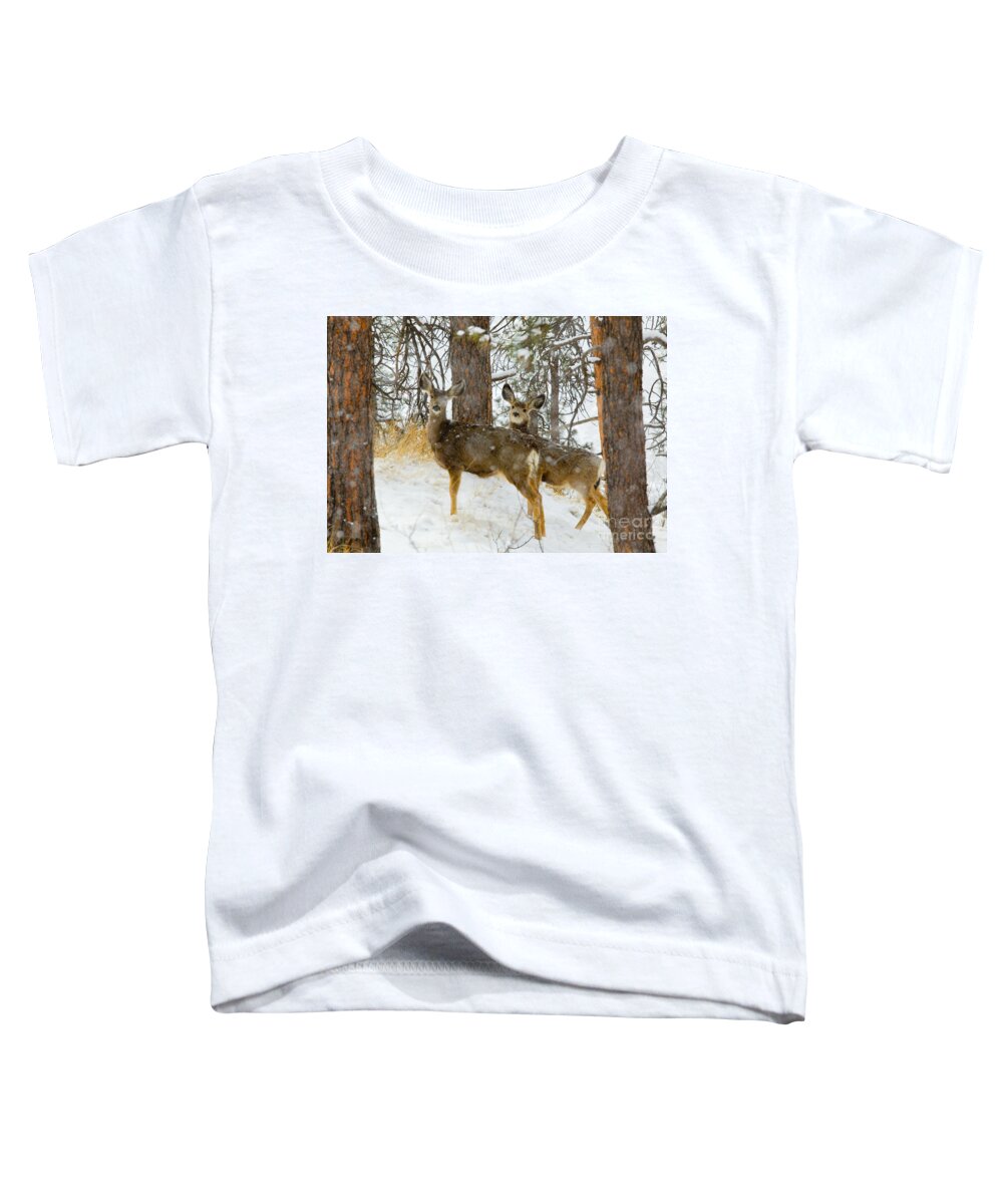 Deer Toddler T-Shirt featuring the photograph Pair of Deer in Heavy Snow in the Pike National Forest by Steven Krull