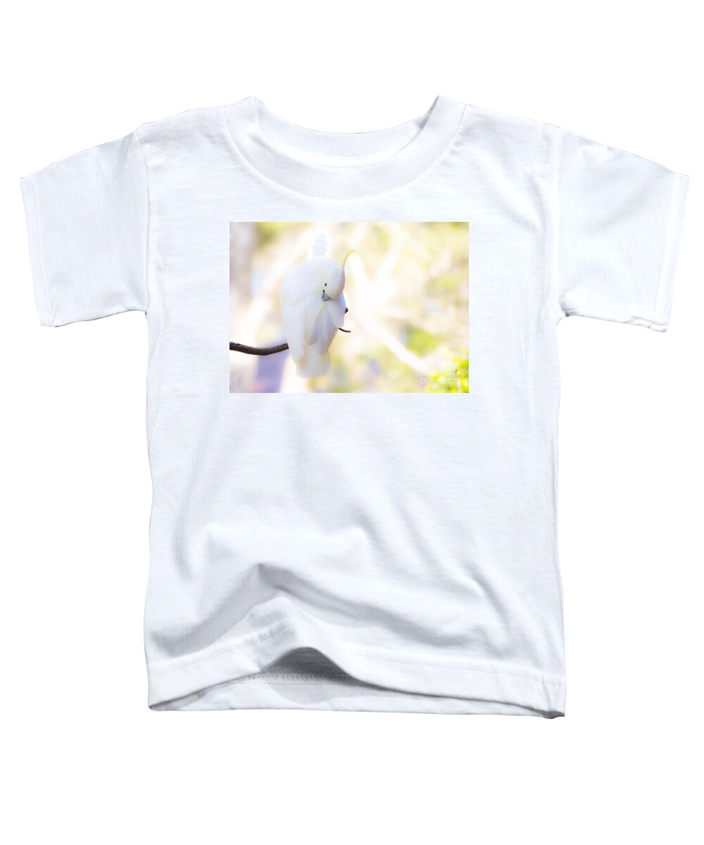 Sulphur Crested Cockatoo Preening Toddler T-Shirt featuring the photograph Pastel cockatoo by Sheila Smart Fine Art Photography