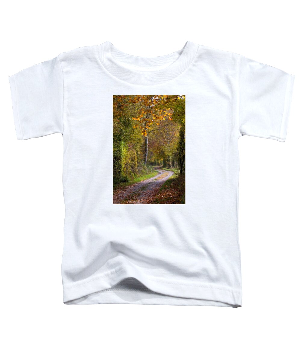 Autumn Toddler T-Shirt featuring the photograph Path Through Autumn Forest by Andreas Berthold