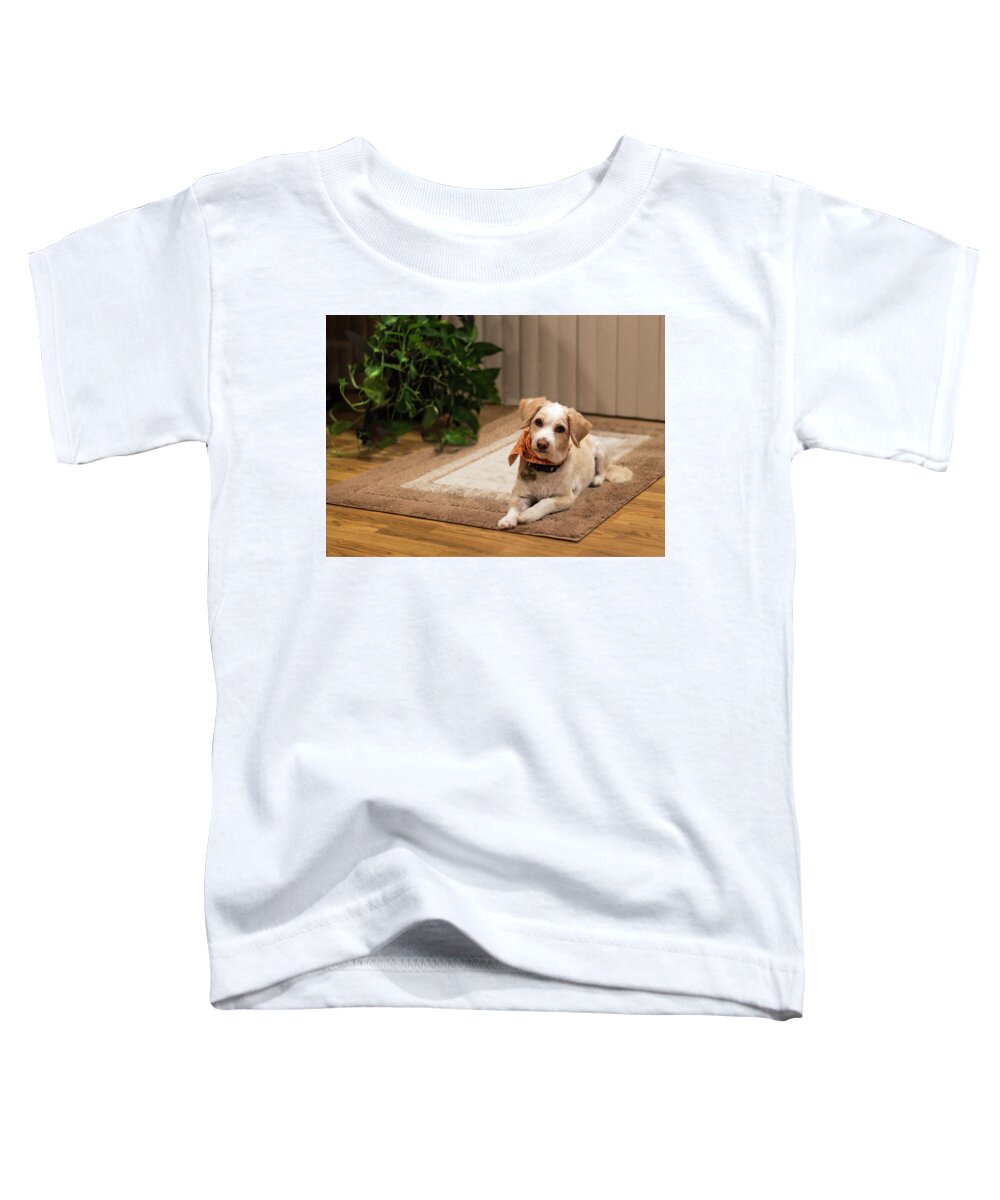 Dog Toddler T-Shirt featuring the photograph Portrait of a Dog by Ed Clark