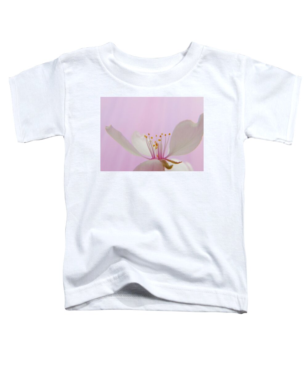 Cherry Toddler T-Shirt featuring the photograph Pretty in Pink Cherry Blossom by Barbara St Jean