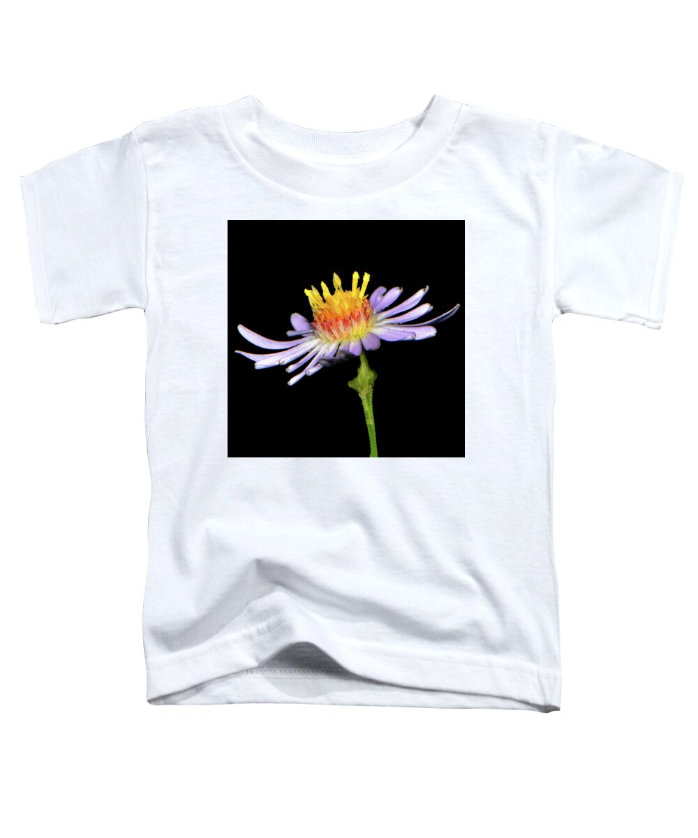 Flower Toddler T-Shirt featuring the photograph Purple Wildflower 005 by George Bostian