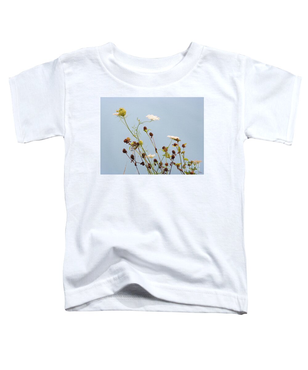 Lise Winne Toddler T-Shirt featuring the photograph Queen Anne's Lace and Dried Clovers by Lise Winne