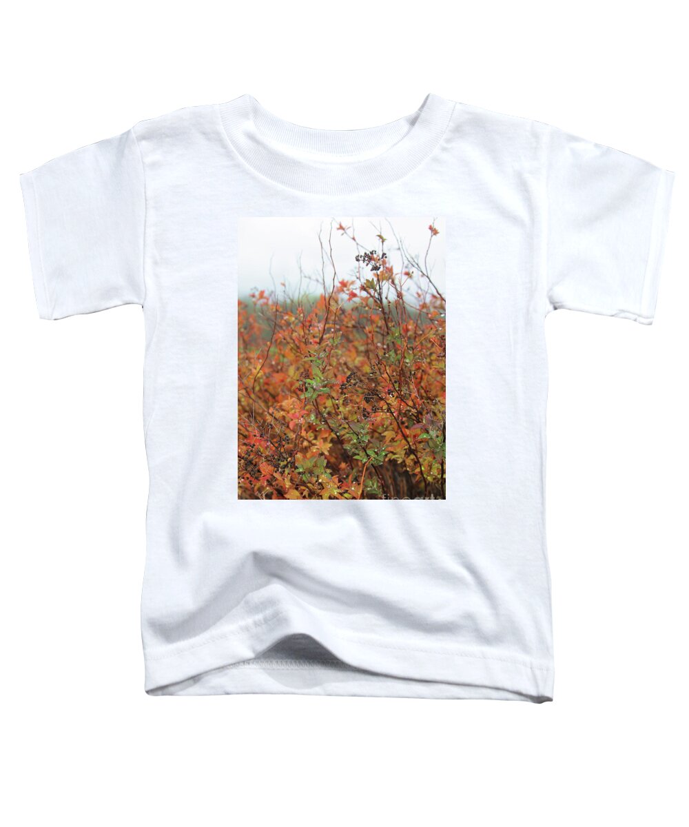 Leaves Toddler T-Shirt featuring the photograph Rain at Sandy Hollow by Sandy Moulder