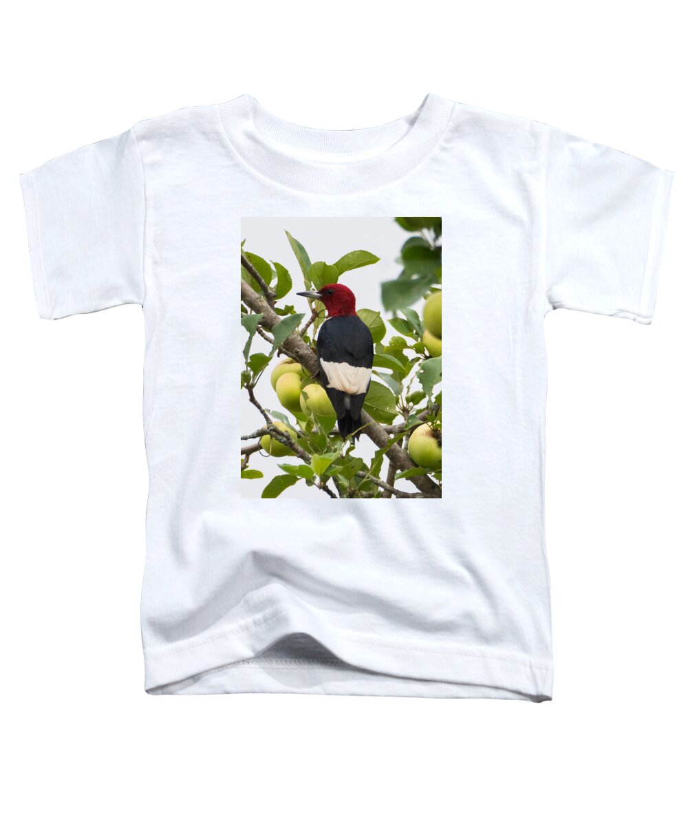 Red-headed Woodpecker Toddler T-Shirt featuring the photograph Red-Headed Woodpecker by Holden The Moment