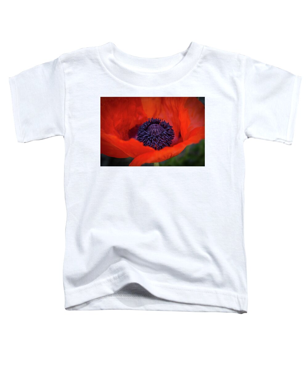 Fine Art Photography Toddler T-Shirt featuring the photograph Remembering Georgia #2 by John Strong