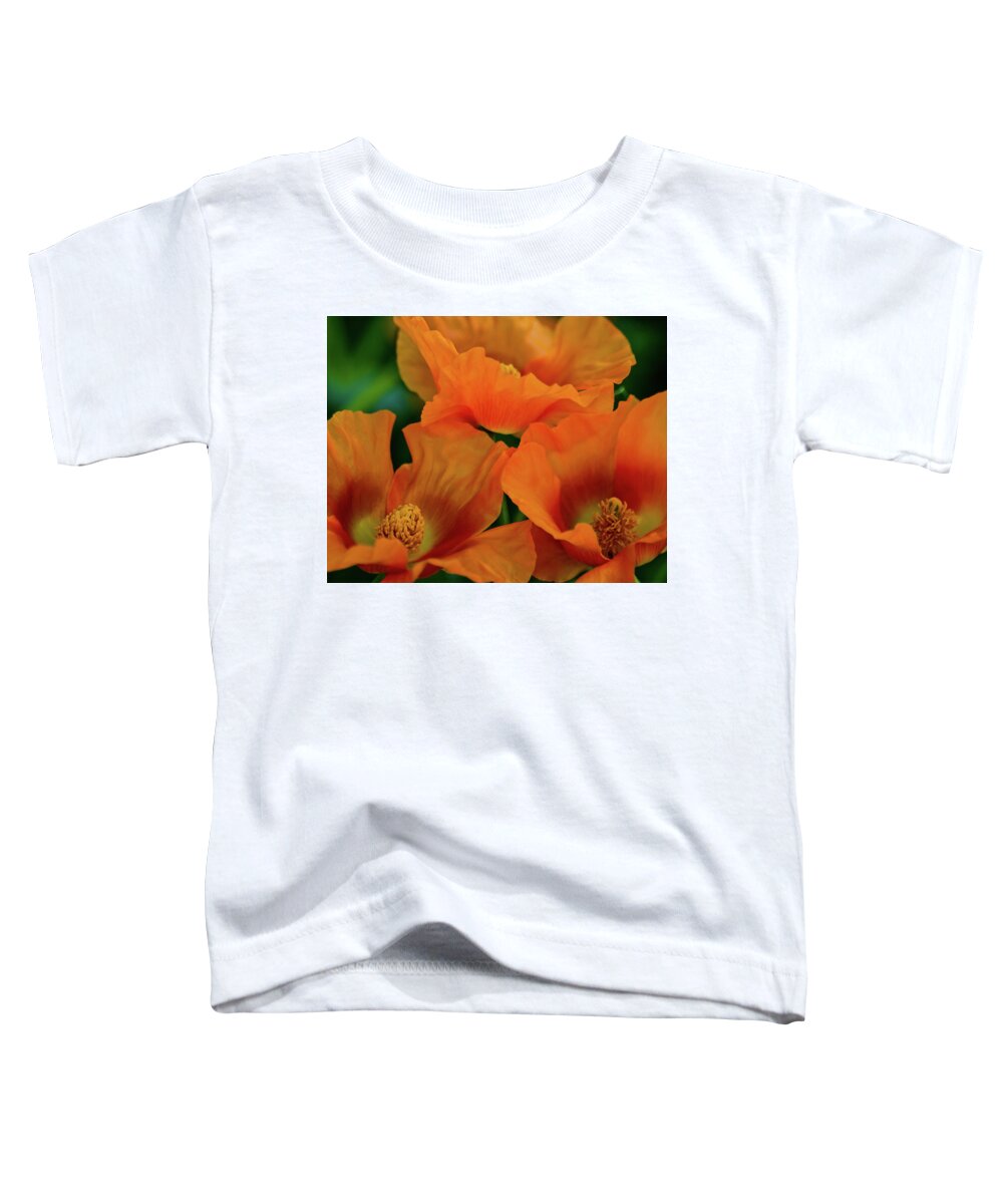 Fine Art Photography Toddler T-Shirt featuring the photograph Remembering Georgia by John Strong